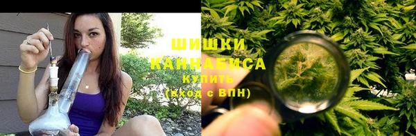 молекула духа Волосово