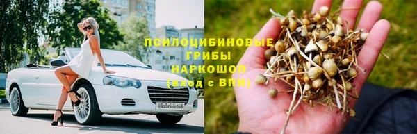 молекула духа Волосово