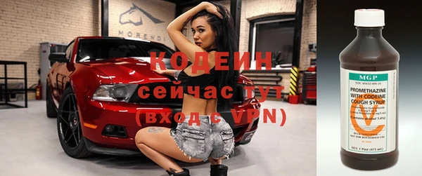 мдпв Вязьма